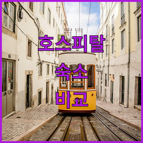 포르투갈 올리베이라 도 호스피탈 숙소..
