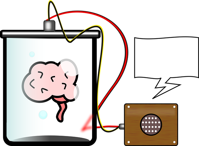 소소하지만 과학적인 생활 팁: 일상을 바꾸는 작은 실험