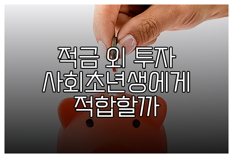 적금 외 투자 사회초년생에게 적합할까