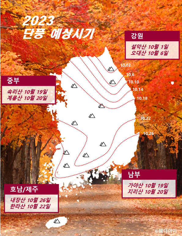 2023 단풍 예상시기
