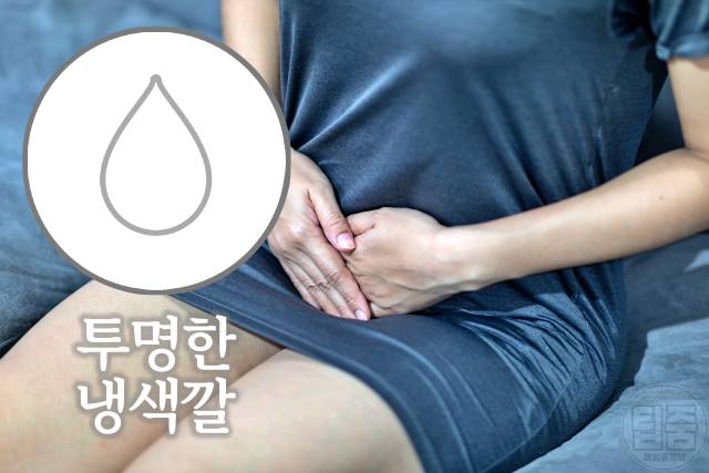 정상적인 냉색깔 투명 흰색