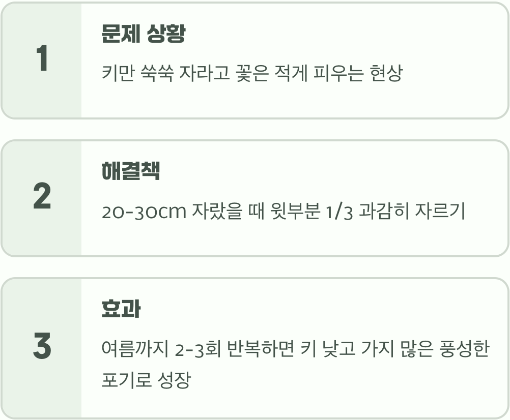 풍성한 가을을 위한 여름의 약속, 순지르기