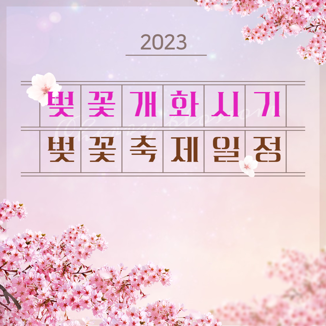 벚꽃개화시기 벚꽃 축제일정