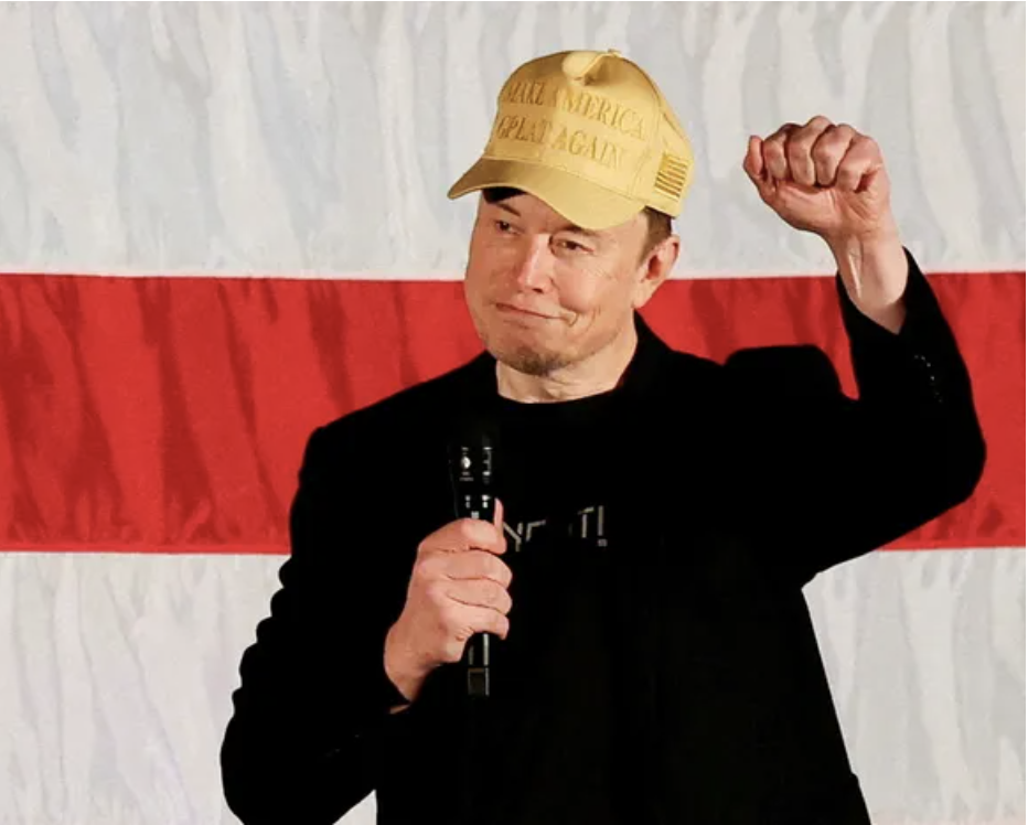 트럼프 정부 일론 머스크 정부 효율성부 수장 임명