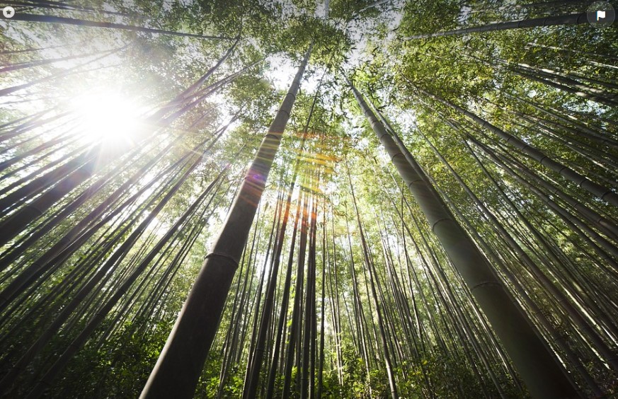 춘곤중 예방을 위한 건강 루틴