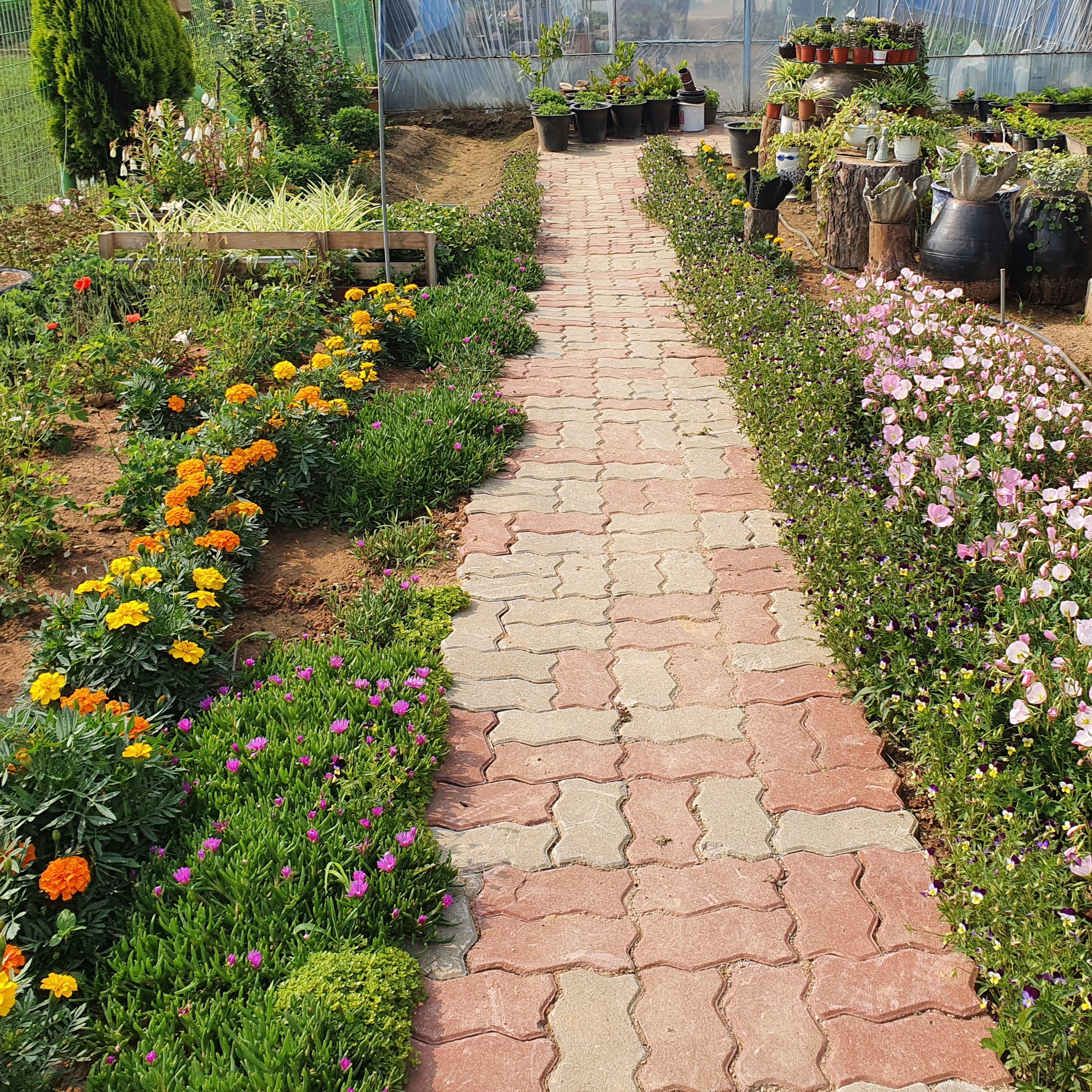 한국과 일본의 돌봄 서비스