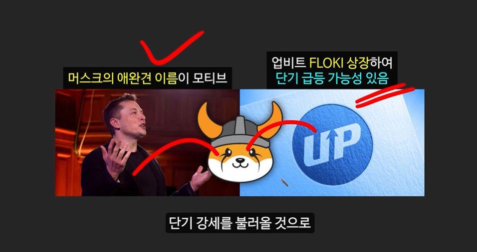 일론 머스크의 충격 발언과 도지코인, 플로키코인, 위프코인, 피넛코인, 프레드 코인의 강력한 상승 가능성 분석