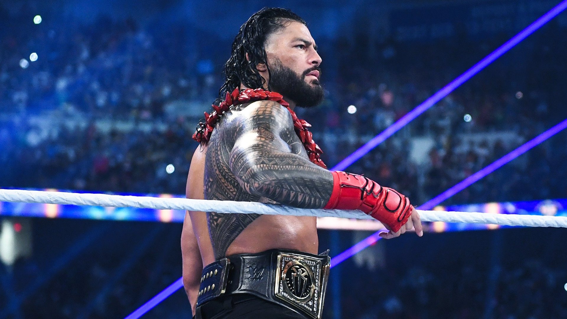 2025 summerslam 섬머슬램 선수명단