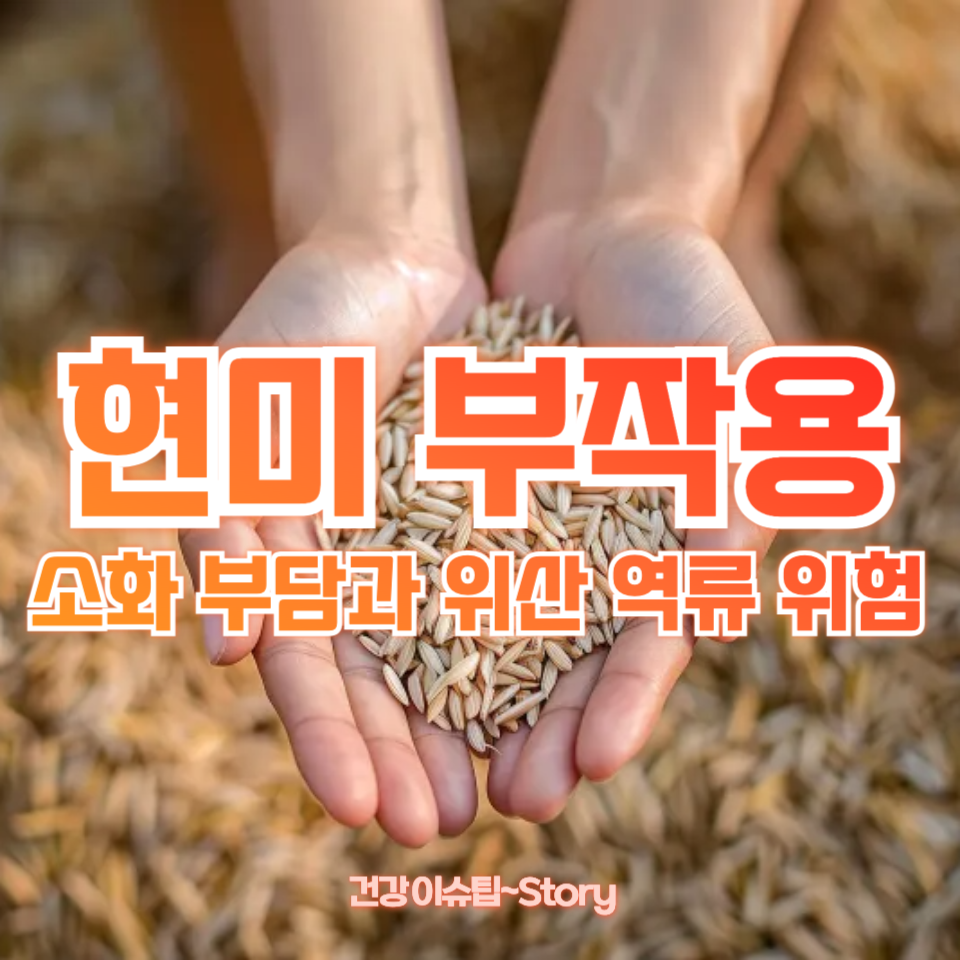 현미 부작용