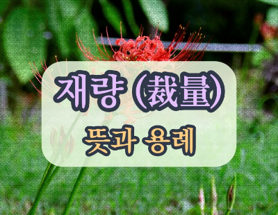 재량 (裁量) 뜻과 용례