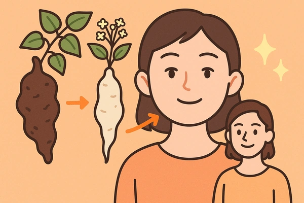 적하수오 백하수오 차이와 효능 비교18