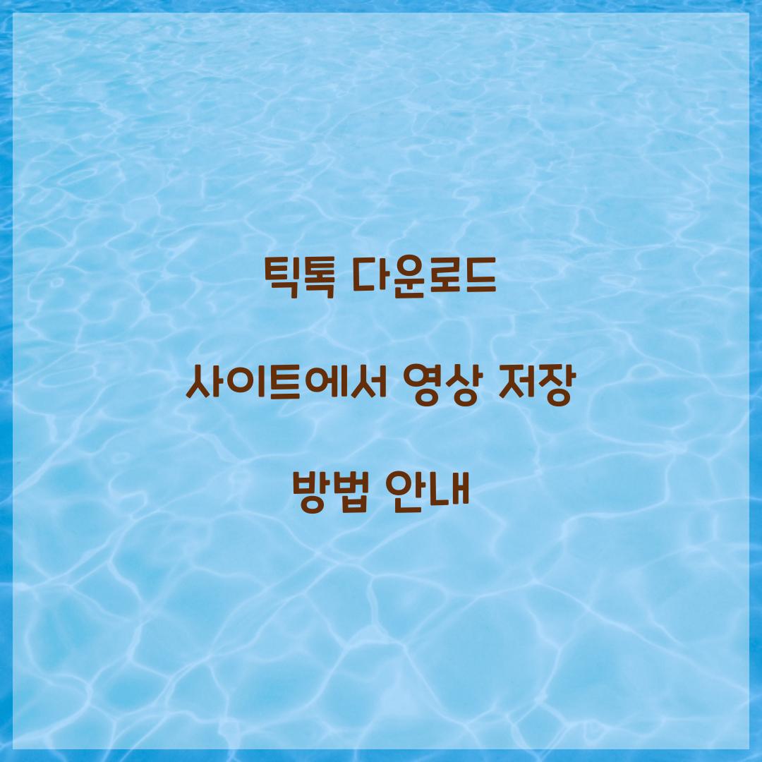 틱톡 다운로드 사이트