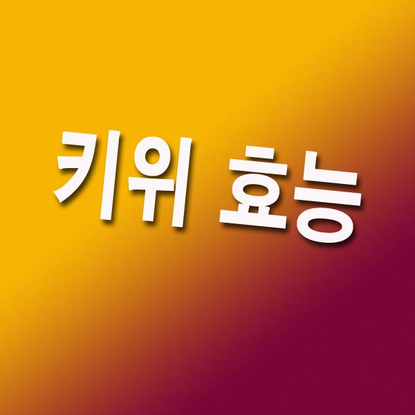 키위 효능