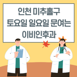 인천 미추홀구 토요일 일요일 이비인후과 진료 병원 리스트