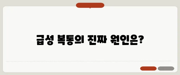 담낭염 증상 급성 복통의 원인일까?