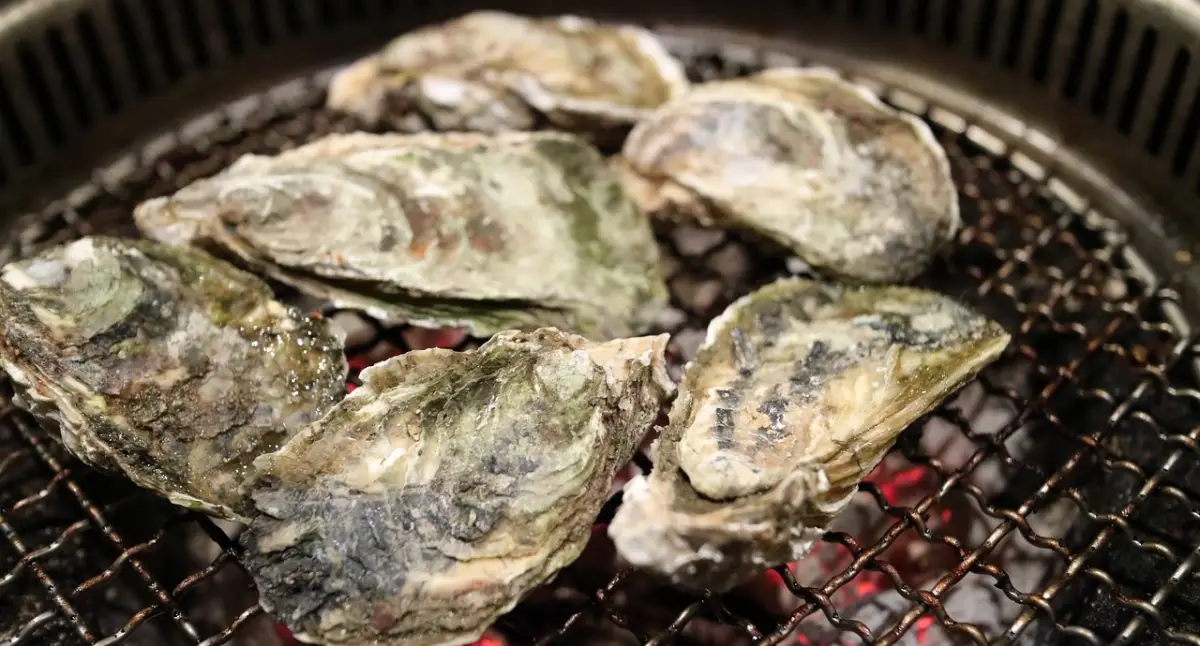 굴-제철-시기