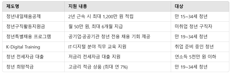 2025 청년취업제도 총정리! 취업부터 혜택까지 한눈에