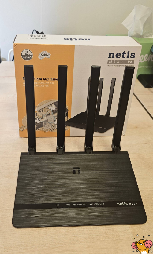 Netis 공유기 (MEX01 V2)