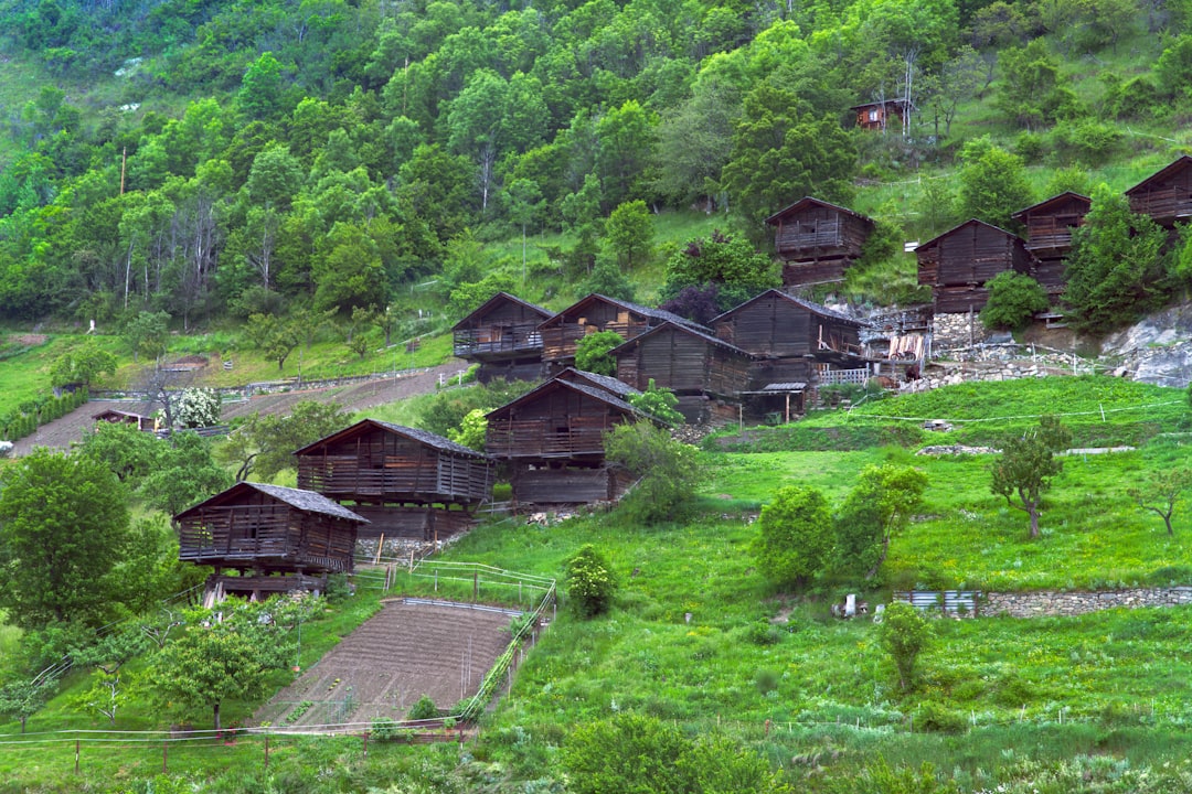 Folk Village