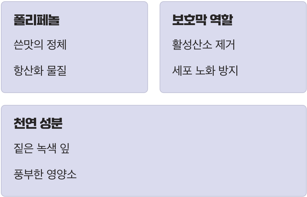 쌉쌀함 속에 숨겨진 힘, 폴리페놀
