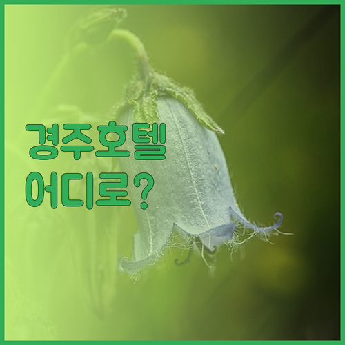 경주 호텔 고민 끝 객실, 조식, 위