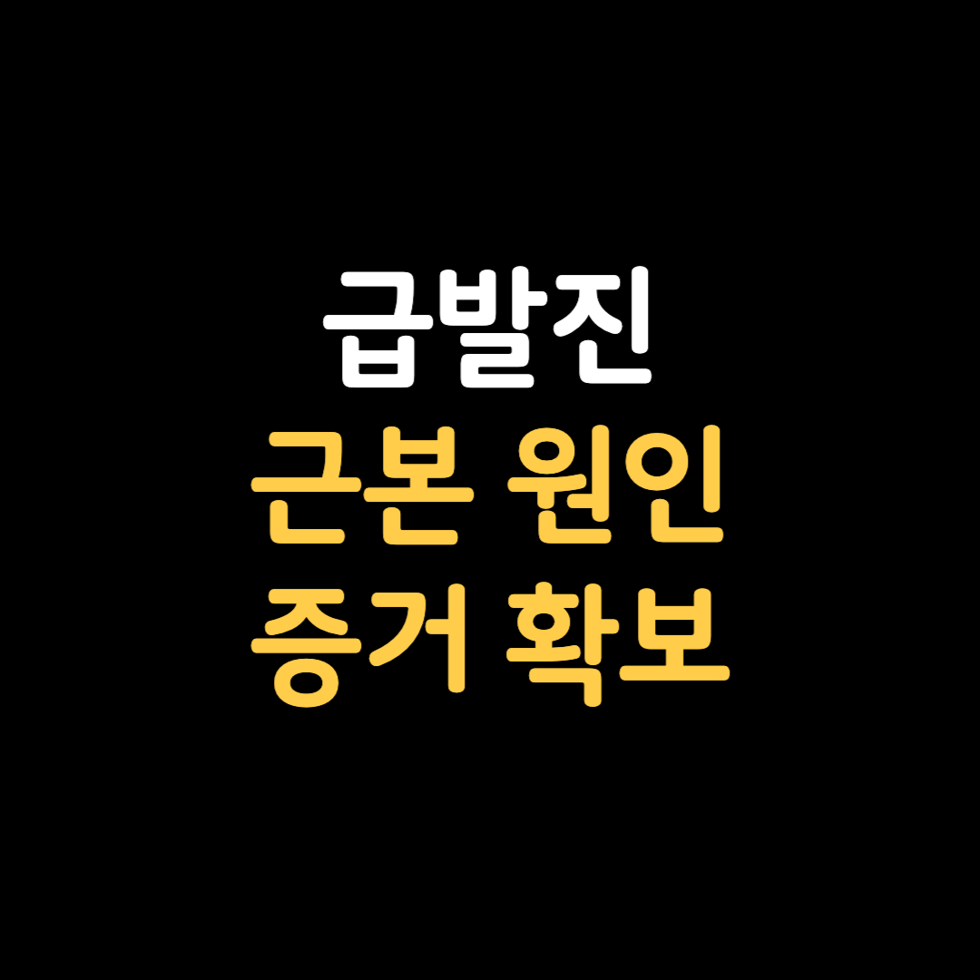 급발진 근본적인 원인 및 페달오인? 급발진 증거