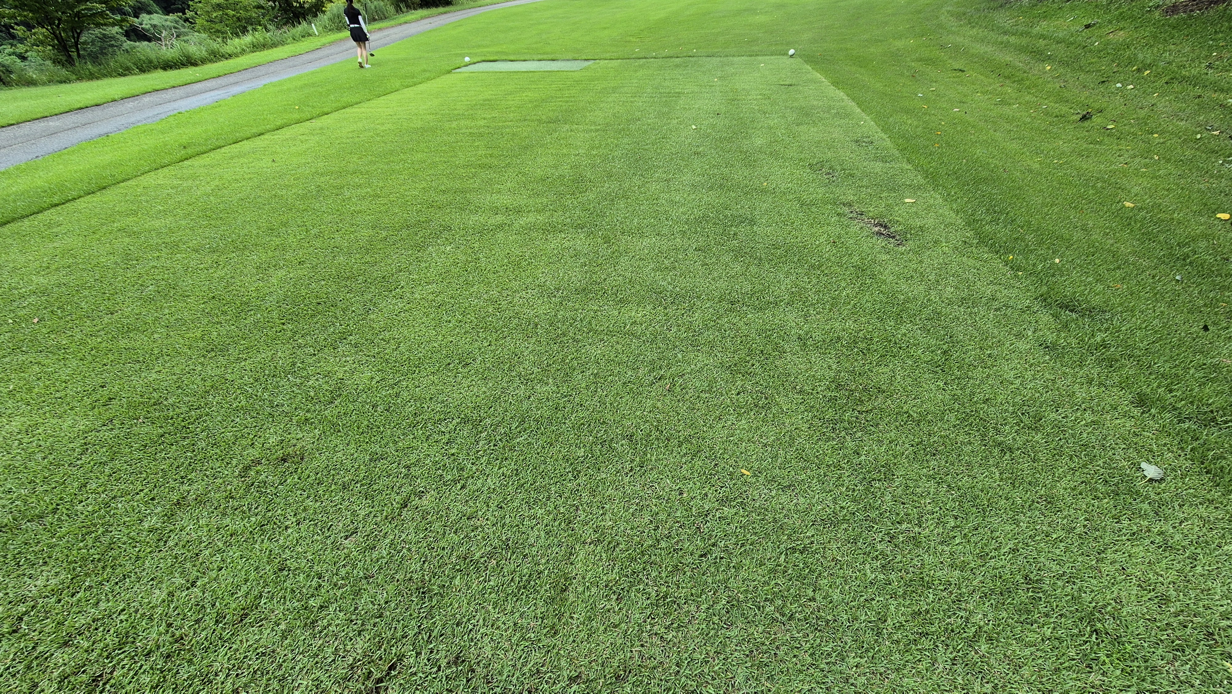 뉴서울cc 예술in-문화in 코스 라운드 후기