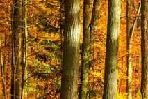  소상공인 50만원 크레딧 지원금! 신청방법 총정리