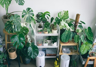 집 공기 관리 미세먼지 차단 및 실내 정화 가이드