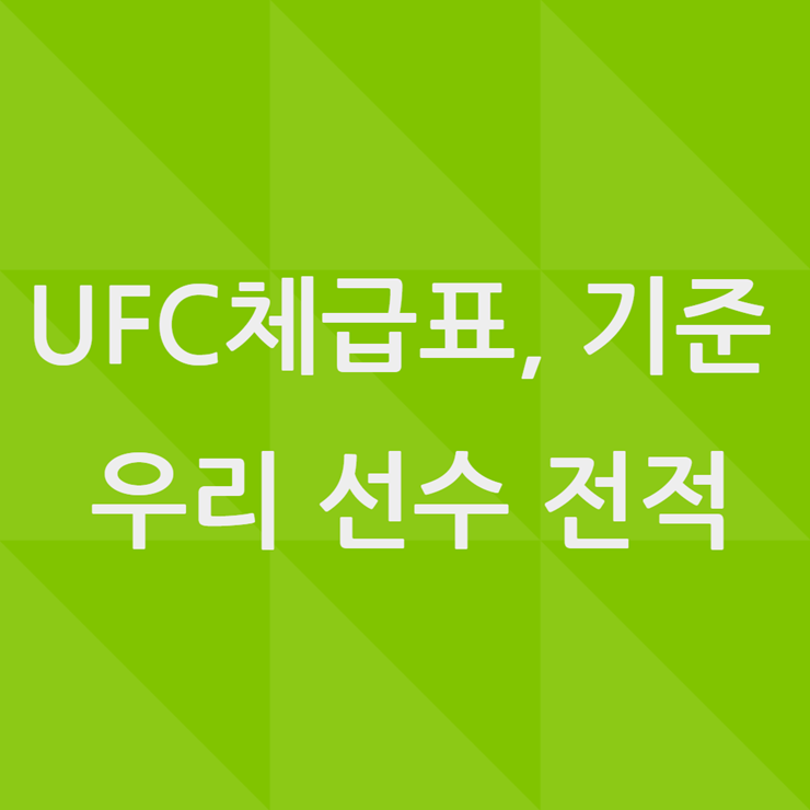 UFC 체급표
