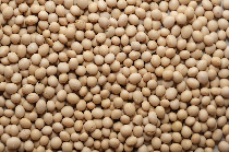 고지혈증에 좋은음식 사진