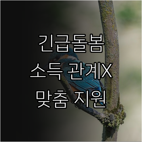 2025 긴급돌봄서비스: 갑작스런 위..