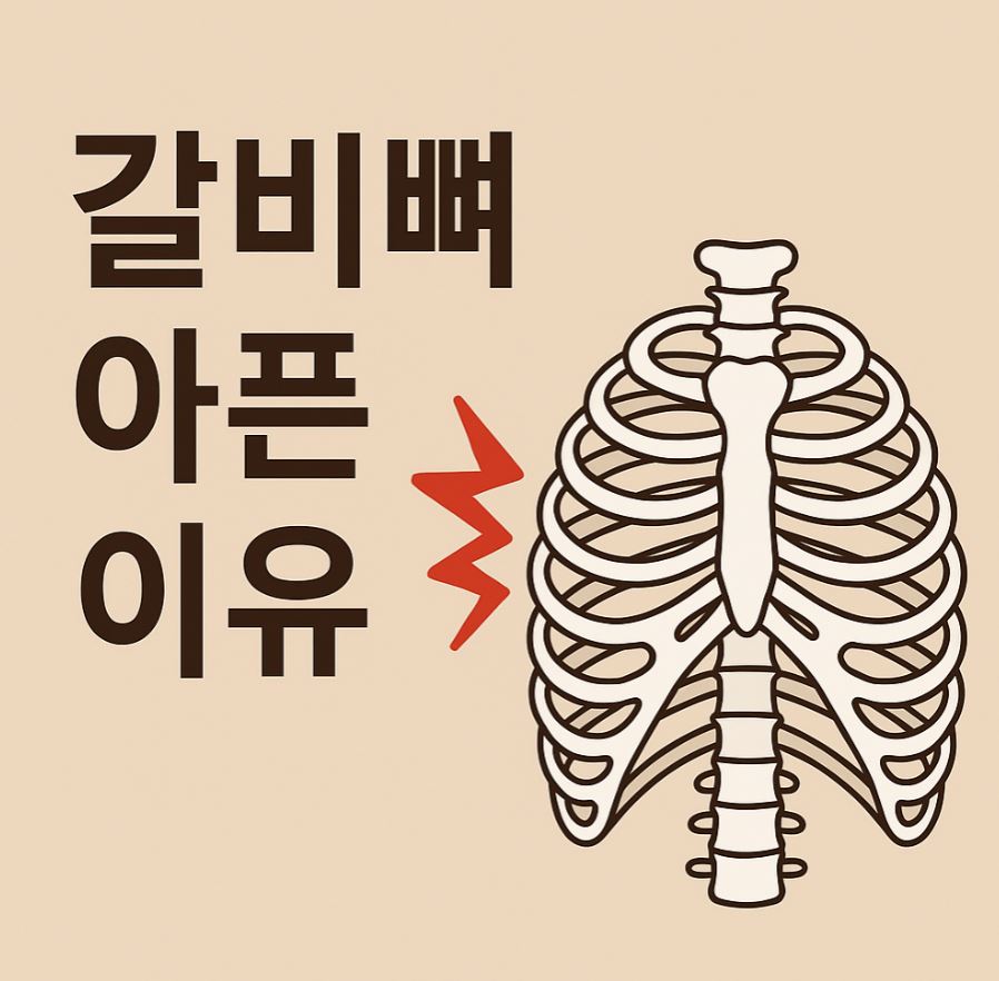 갈비뼈 아픈이유 원인과 치료법