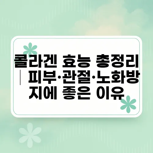 콜라겐 효능 총정리│피부·관절·노화방지에 좋은 이유