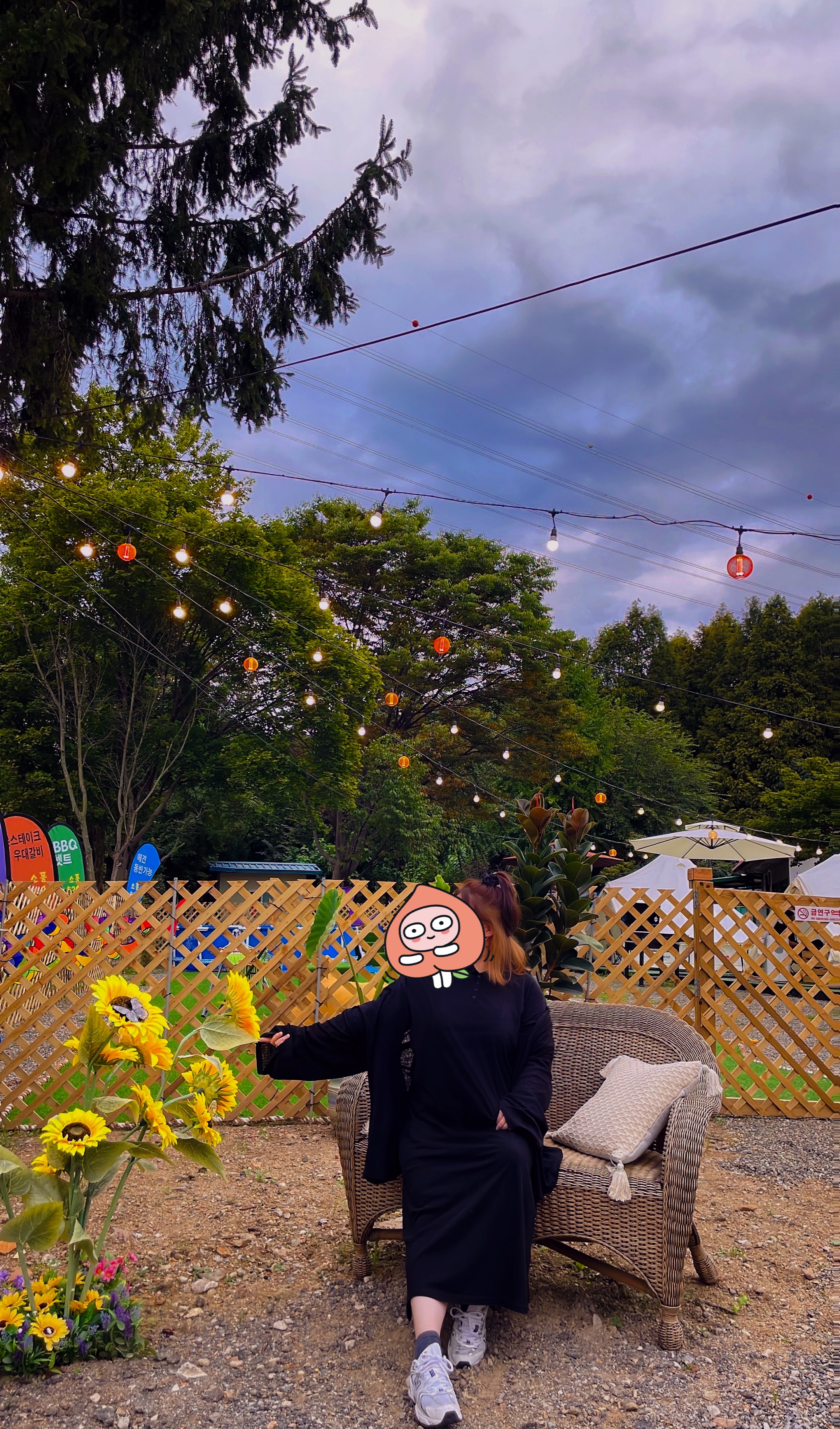 ์ํ524