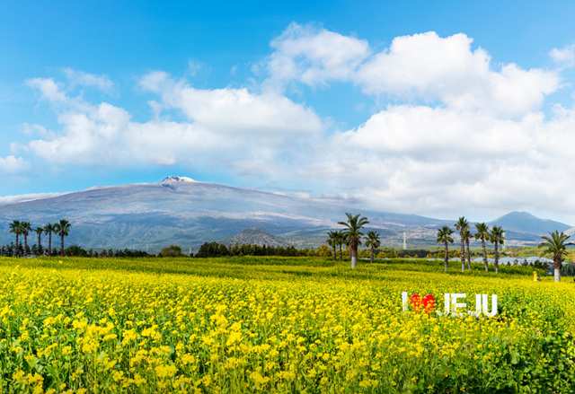 봄꽃구경 가볼만한 곳