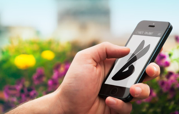 초 국경적 전자상거래의 성장과 경제적 영향