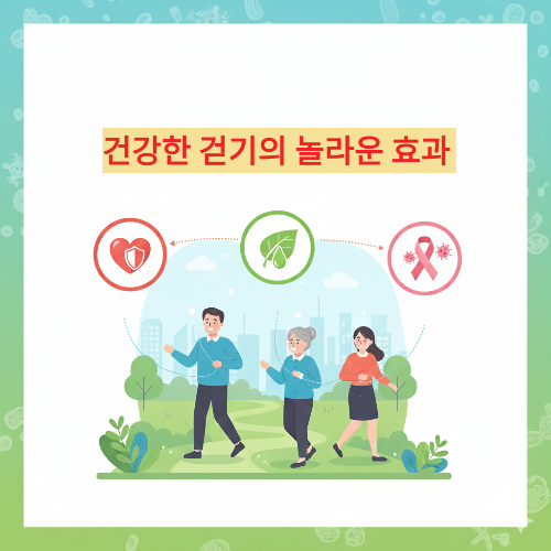 건강한 걷기 사진