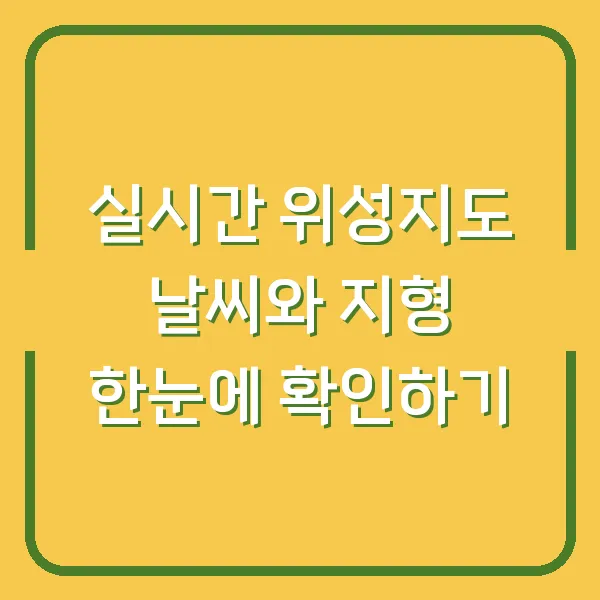 실시간 위성지도 날씨와 지형 한눈에 확인하기