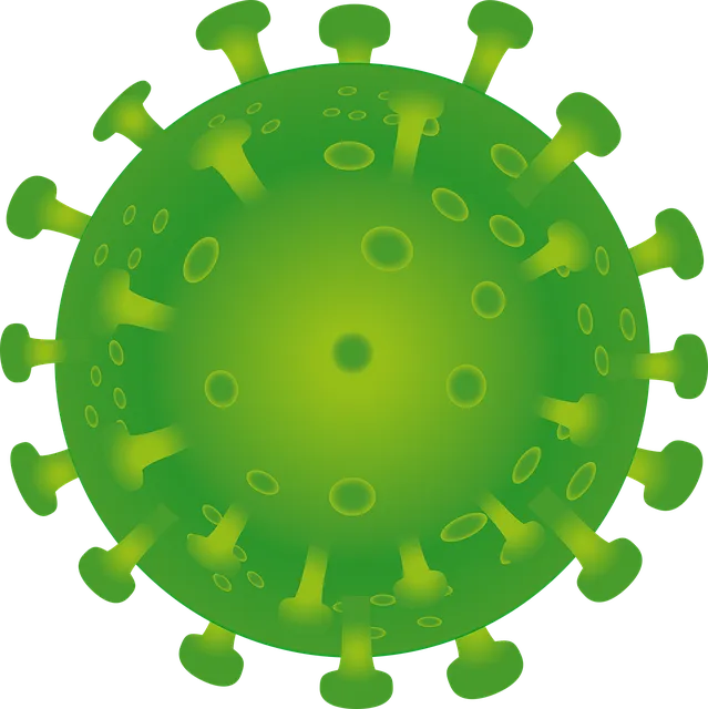 설사가 계속날때