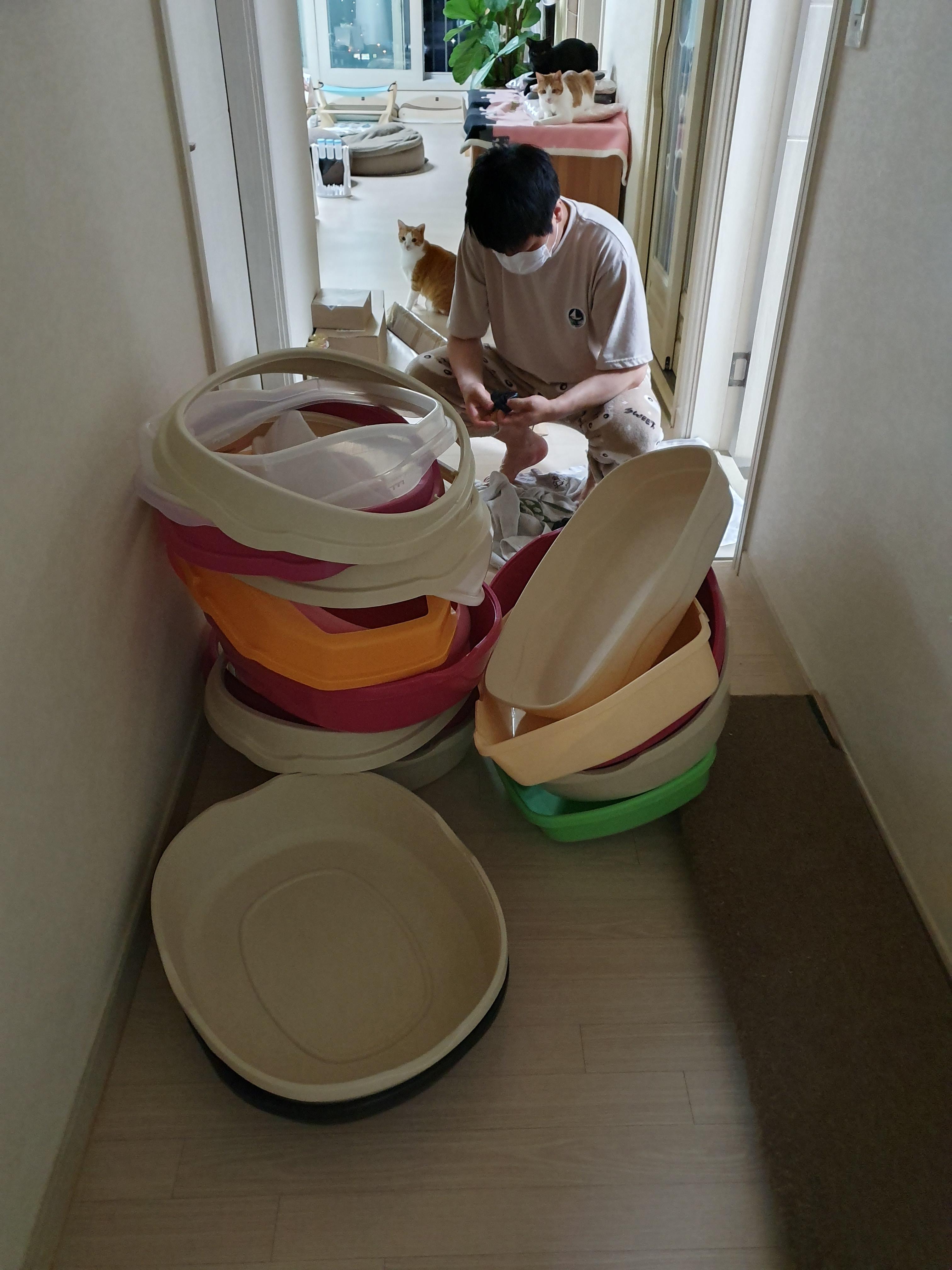 고양이 모래와 화장실의 중요성. 고양이 화장실 변천사