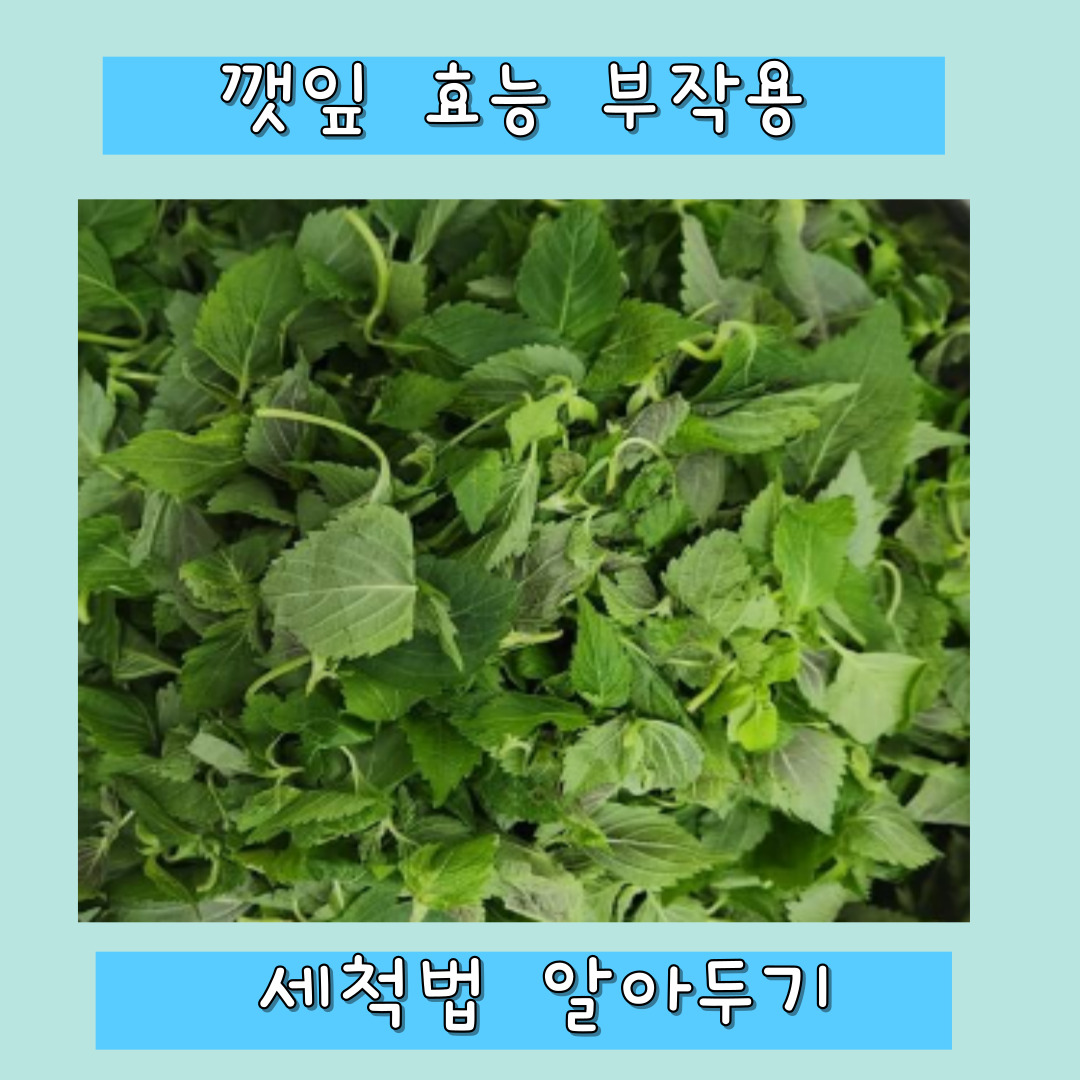 깻잎 효능 부작용