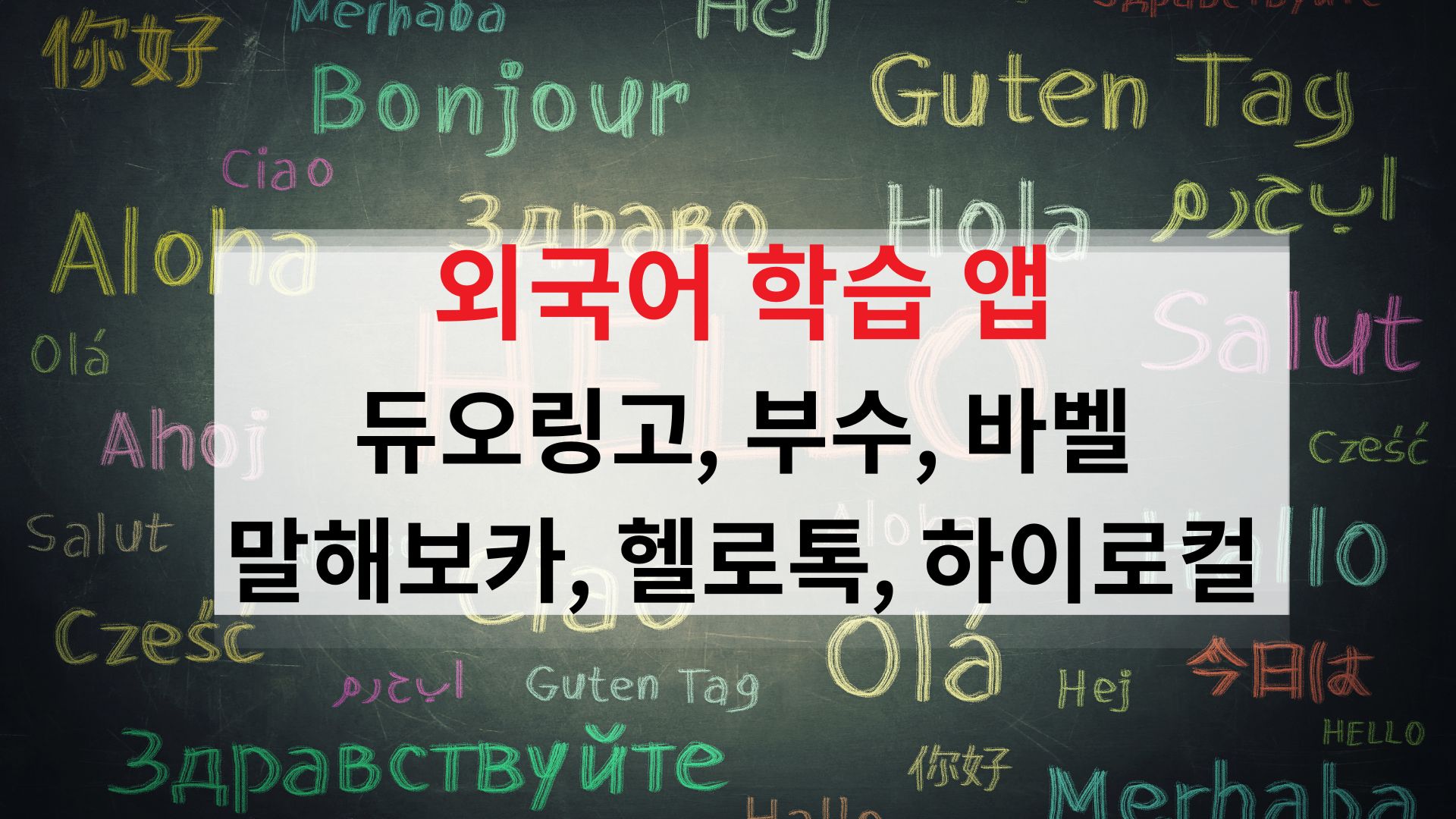 외국어-학습-앱-듀오링고