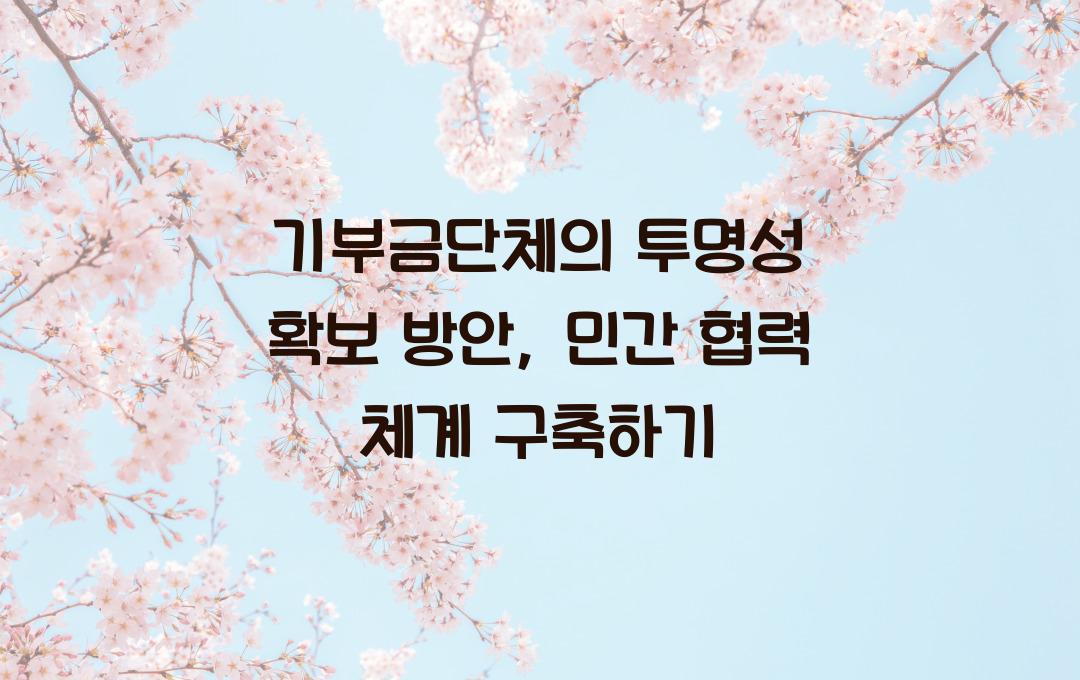 기부금단체의 투명성 확보 방안