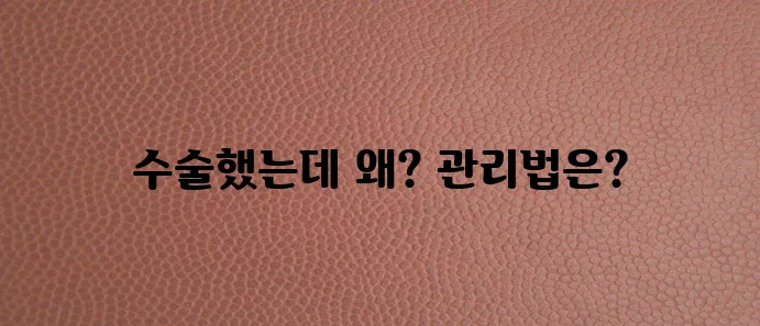 고양이 중성화수술 후 발정 원인을 이해하고 제대로 관리해야 합니다!