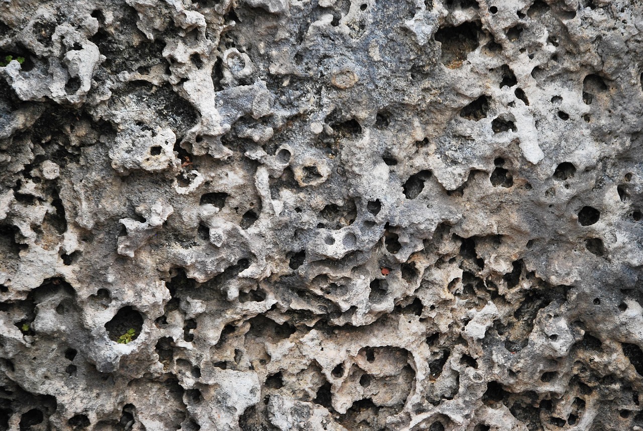 골다공증&#44;40대&#44;50대&#44; 여성&#44;치료방법&#44;극복&#44;완치&#44;치료기간&#44;에 좋은 음식&#44; 수치&#44;주사&#44;검사비용&#44;주사 부작용&#44;약&#44;증상&#44;에 좋은 영양제&#44; 약 부작용