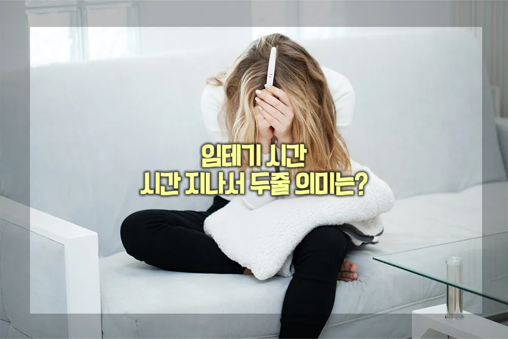 임테기 시간 시간 지나서 두줄 의미