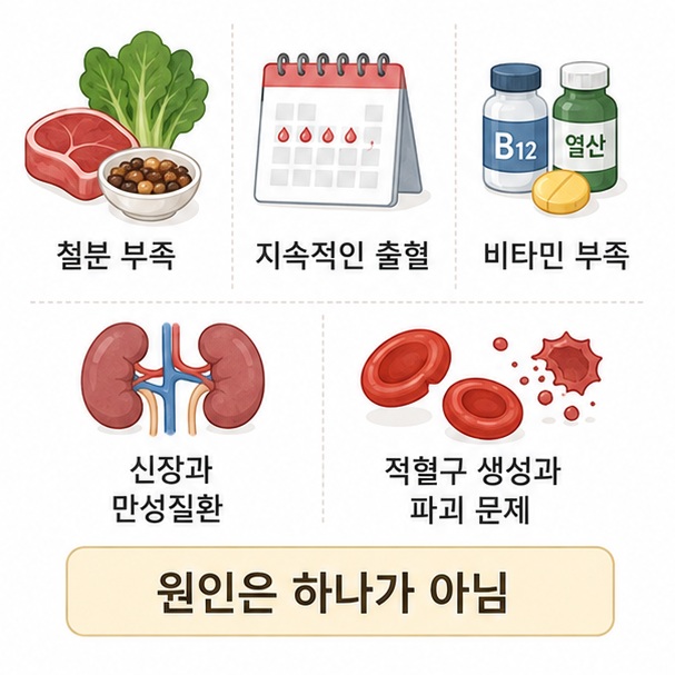 철분 부족과 지속적인 출혈, 비타민 부족, 신장질환과 적혈구 생성 문제처럼 헤모글로빈이 낮아지는 원인이 다양함을 보여 주는 그림