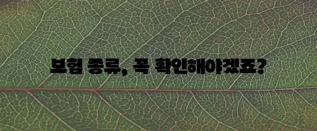 * 유병자 실비 보험 종류 꼼꼼히 알아봐야 합니다
* 유병자 실비 보험 어떤 종류가 있는지!