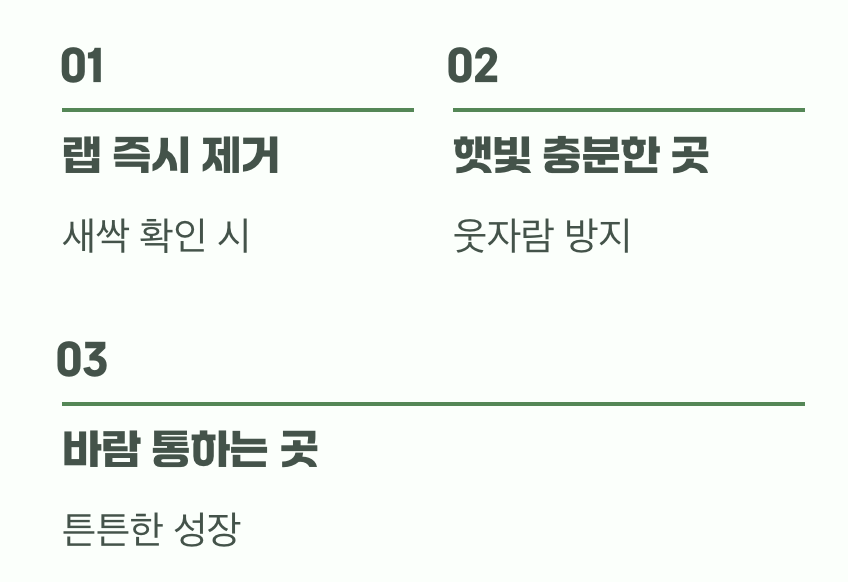 싹이 났어요! 진짜 시작은 지금부터